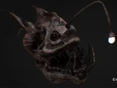 Fish low poly model - Anglerfish - ocean horror - monster fish 5 Low-poly 3D model