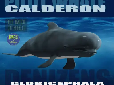 Pilot Whale 3D model