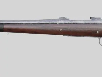 Remington 700 CDL Free 3D model