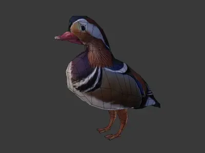 Mandarin duck 3d Low-poly 3D model