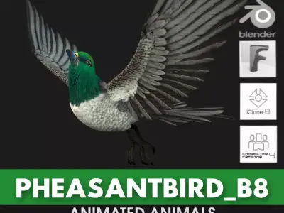 PheasantBird B8 3D model