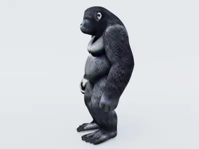 Gorilla Free 3D model