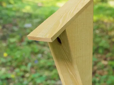 Wooden Bluebird House 3D model