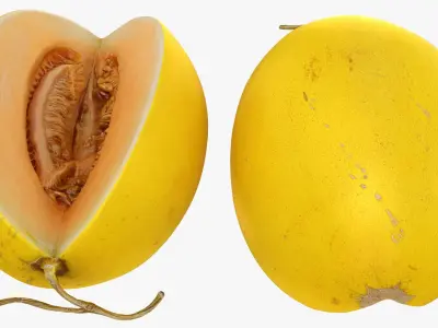 Golden&nbsp;Cantaloupe Cut 3D model