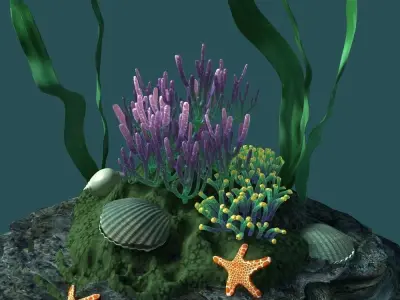 Coral 07-     3D model