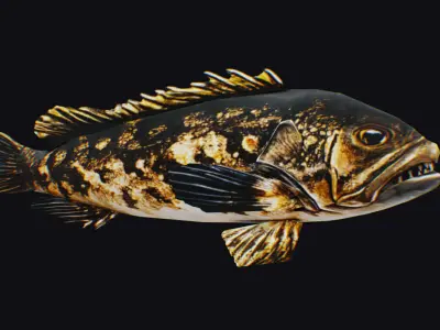 Freshwater Fish Animated Carp Largemouth Bass Smallmouth Perch Low-poly 3D model