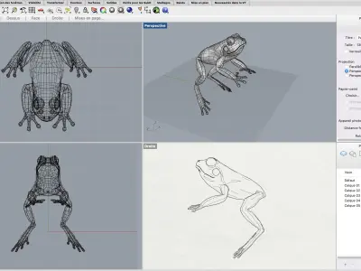 Frog Grenouille Crapaud 3D model