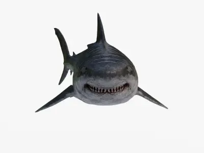 Megalodon great shark Low-poly 3D model