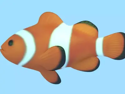Clownfish Rigged 3D model