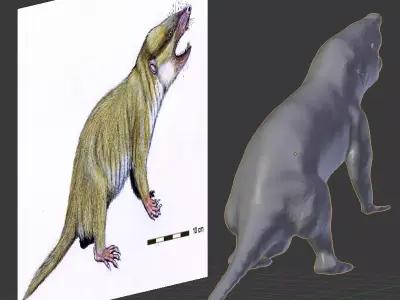Gobiconodontidae -A rat lol 3D model