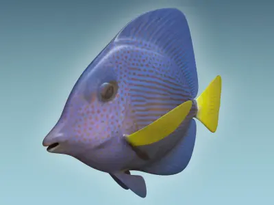 Zebrasoma Fish 4 3D model