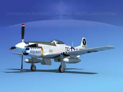 P-51D Mustang Indian Maiden 3D model