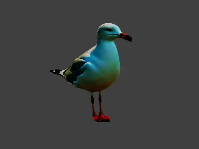 Seagull Bird  Low-poly 3D model