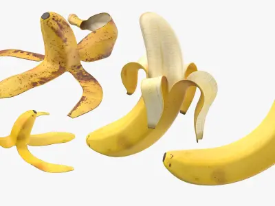 Fruits Collection 3D model