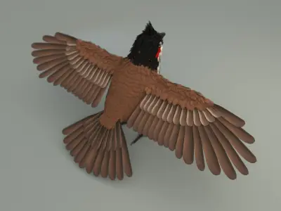 Bird bird sparrows binding model 3D model