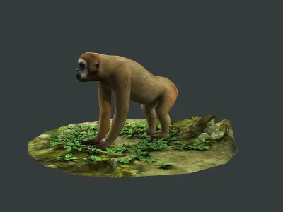 Gibbons apes omnivores apes mammals 3D model