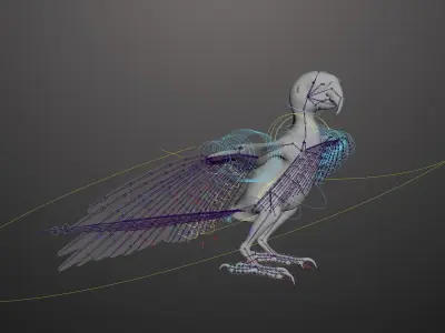 Basic model with Animation RIG of Macaw 3D model