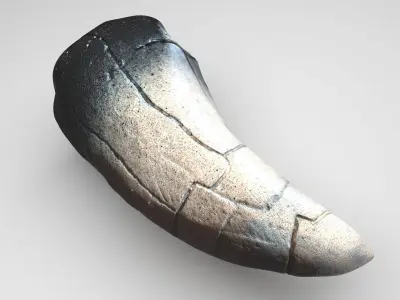 Dragon Tooth 3D model