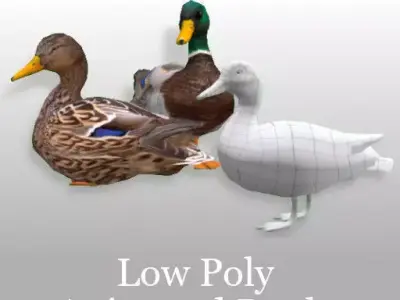 Animated Mallard Ducks Low-poly 3D model