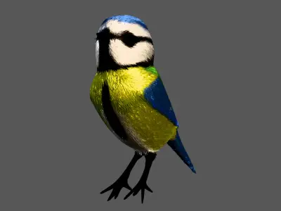 Winter Blue Tit 3D model