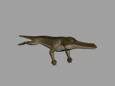 Remingtonocetus 3D model