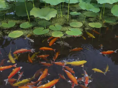 Lotus and Koi Fish Pond 02 Low-poly 3D model