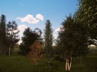 Very realistic 3d Trees collection for Twinmotion 2019 part 2 Low-poly 3D model