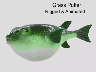 Grass Puffer Realistic Animated Low-poly 3D model