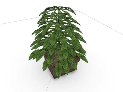 Plant M SHC Quick Office LM Low-poly 3D model