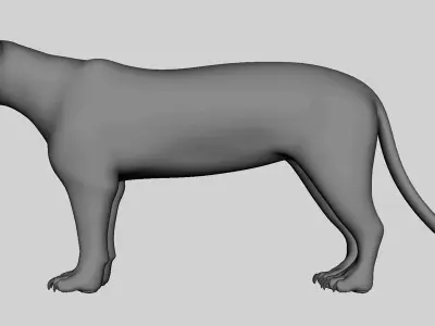 Leopard Topology Uv Map Free low-poly 3D model