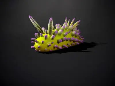 Cadlinella ornati - Game Ready Low-poly 3D model Low-poly 3D model