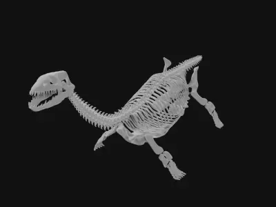 Plesiosaur skeleton 3D model
