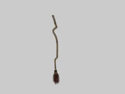 Witch Broom 3D model