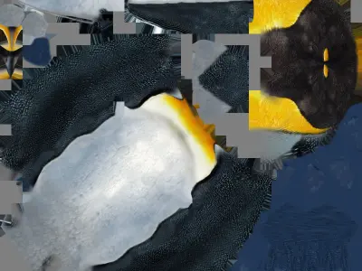 penguin Free low-poly 3D model