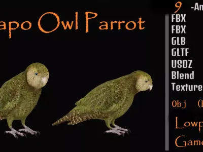Kakapo Owl Parrot Bird Low-poly 3D model
