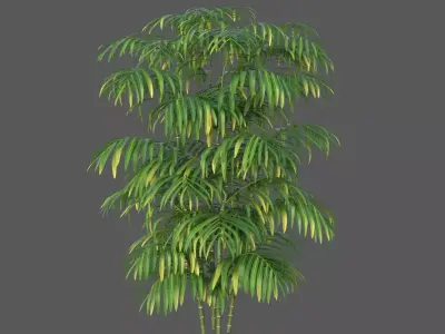 XfrogPlants Butterfly Palm  3D model