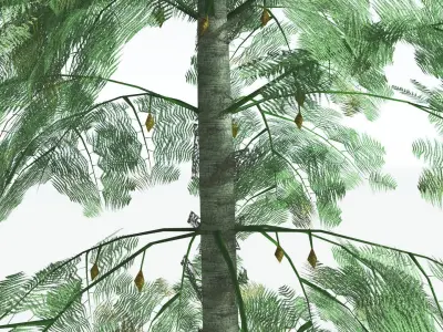 EVERYPlant Alethopteris Seed Fern LowPoly 1 --12 Models-- Low-poly 3D model