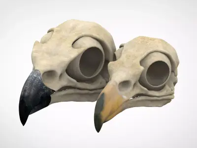 Eagle Skulls 3D model
