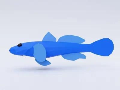 Dragon goby fish 3d model  Low-poly 3D model