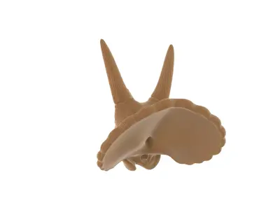 Realistic Triceratops Dinosaur Skull 3D print model