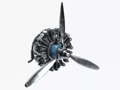 Airplane Radial Engine with Propeller 3D model