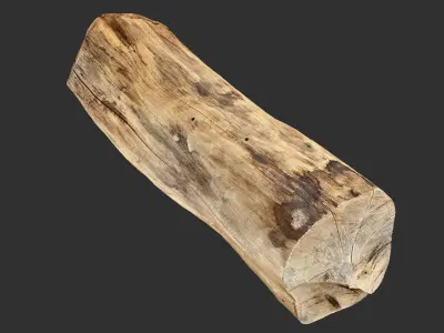 3D Scan Realistic tree timber 3D model