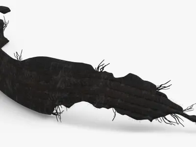 Tire Section 011 3D model