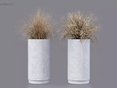 Indoor Plant 05 Free 3D model