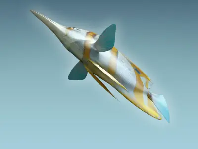 Butterfly Fish 3D model