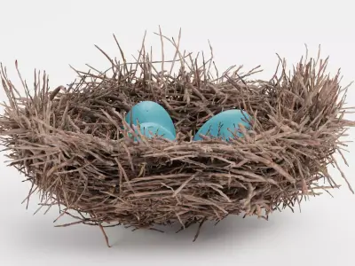 -Nest with Eggs- 3D model