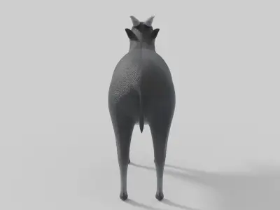 3D Anoa Model goat Low-poly 3D model
