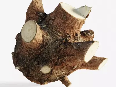 Scanned tree trunk firewood Low-poly 3D model