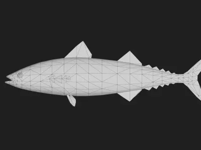 Mackere Low-poly 3D model