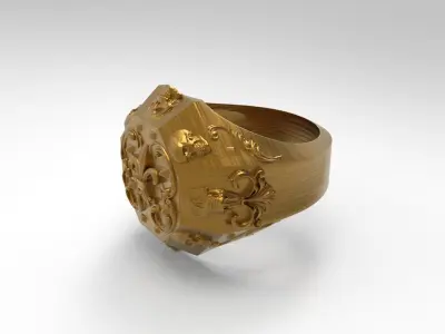 chopper ring 3D print model